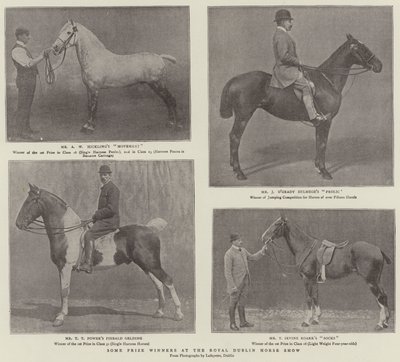 Noen prisvinnere på Royal Dublin Horse Show av English Photographer