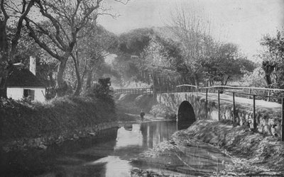 Sør-Afrika: The Bridge, Mowbray (s/hvitt-bilde) av English Photographer