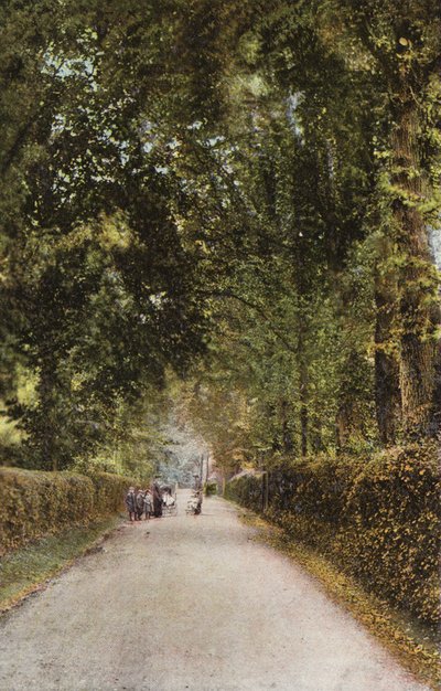 Spencer Road, Ryde av English Photographer