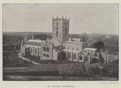 St Davids katedral av English Photographer