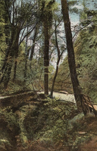 Stone Bridge i Shanklin Chine av English Photographer