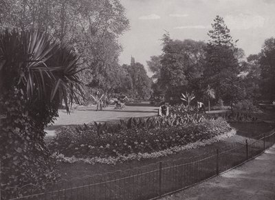 Sub-tropiske hager, Battersea Park av English Photographer
