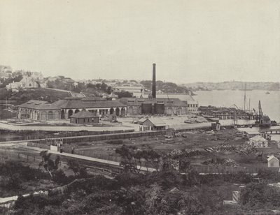 Sunlight Soap Companys Works, nær Sydney av English Photographer