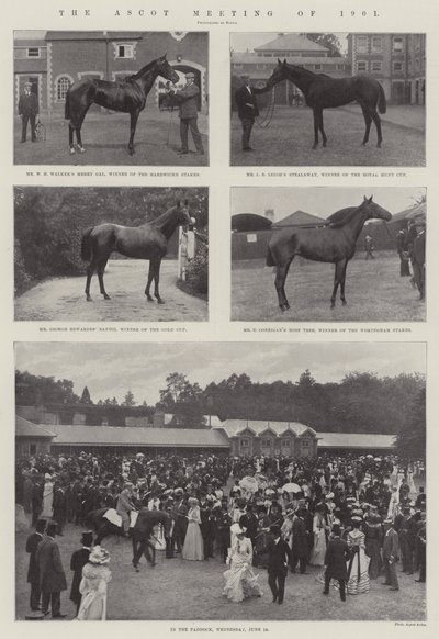 Ascot-møtet i 1901 av English Photographer