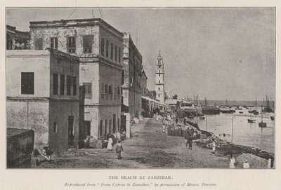 Stranden på Zanzibar av English Photographer