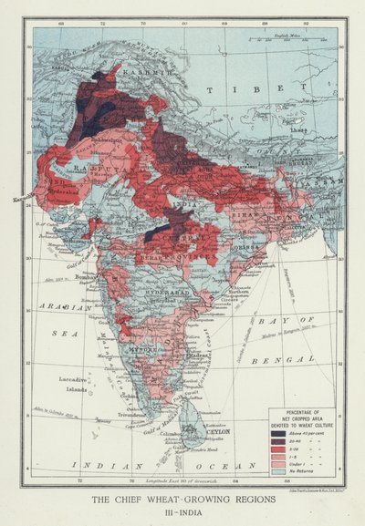 De viktigste hvetedyrkende regionene, India (bilde) av English Photographer