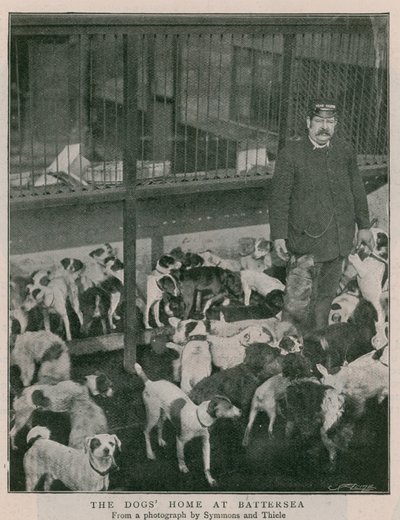 The Dogs Home at Battersea av English Photographer