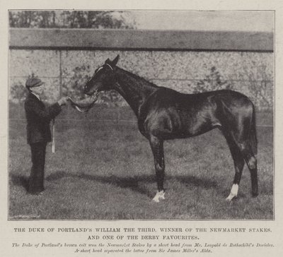 Hertugen av Portlands William den tredje, vinner av Newmarket Stakes, og en av Derby-favorittene av English Photographer