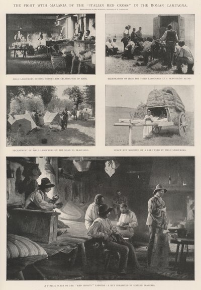 Kampen mot malaria av det italienske Røde Kors i den romerske kampanjen av English Photographer