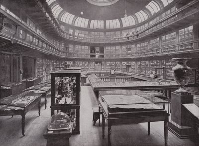 Geologisk museum, Piccadilly av English Photographer