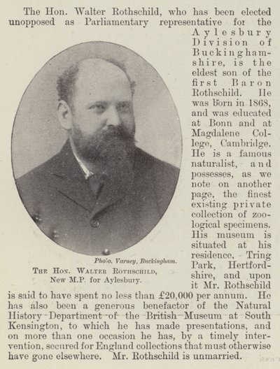Den ærede Walter Rothschild, ny MP for Aylesbury av English Photographer