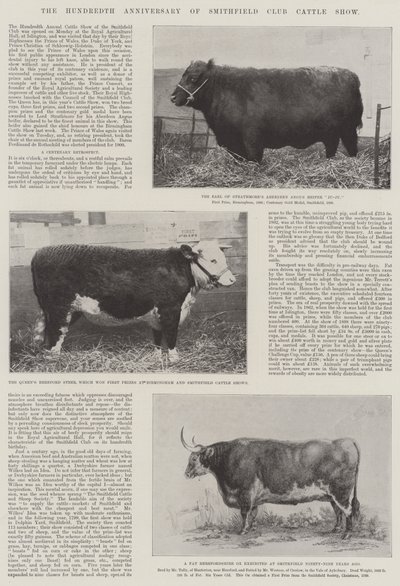 Hundreårsjubileet for Smithfield Club Cattle Show av English Photographer