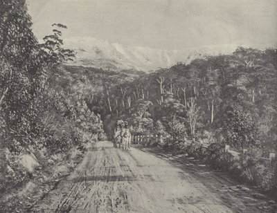 Huon-veien av English Photographer