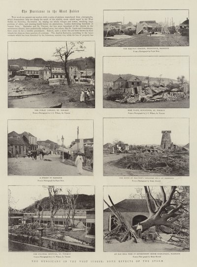 Orkanen i Vestindia, noen virkninger av stormen av English Photographer