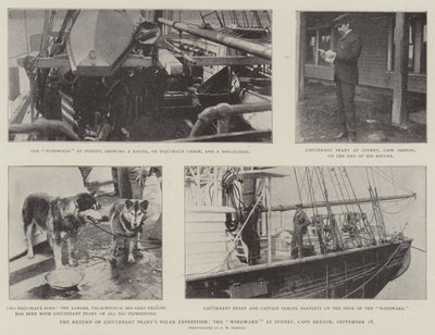 The Return of Lieutenant Pearys Polar Expedition, Windward i Sydney, Cape Breton, 18. september av English Photographer