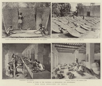 Silkeindustrien i India av English Photographer