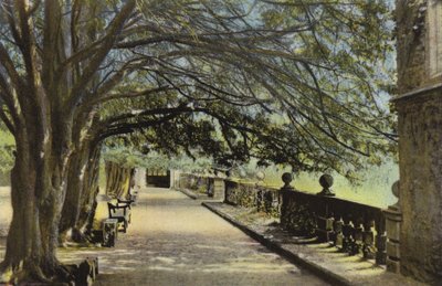 The Terrace, Haddon Hall av English Photographer