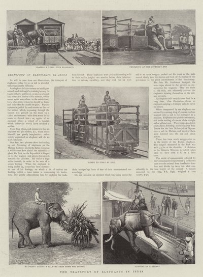 Transporten av elefanter i India av English Photographer