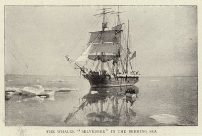 Hvalfangeren Belvedere i Beringhavet av English Photographer