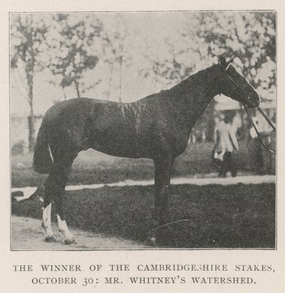 Vinneren av Cambridgeshire Stakes, 30. oktober, Mr Whitneys Watershed av English Photographer