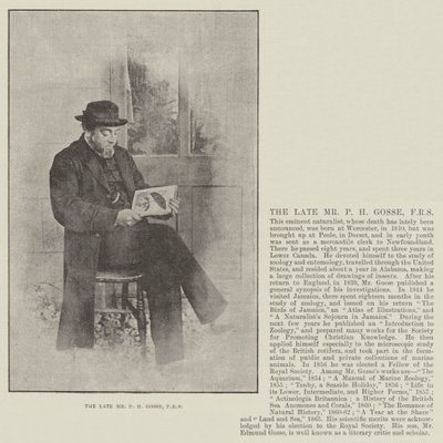 Avdøde hr. P H Gosse, FRS av English Photographer