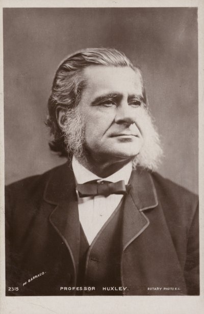 Thomas Henry Huxley (1825-1895, engelsk biolog av English Photographer