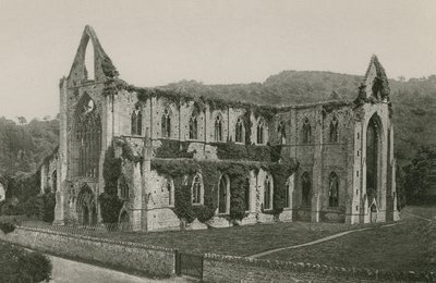 Tintern Abbey av English Photographer