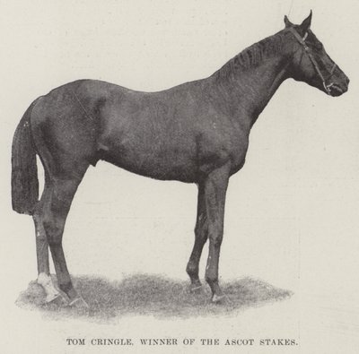Tom Cringle, vinner av Ascot Stakes av English Photographer