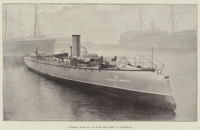 Torpedobåt nr. 79, med flåten ved Spithead av English Photographer