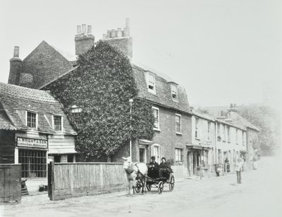 Tottenham Lane, Hornsey: forhøyninger, ca. 1890 av English Photographer