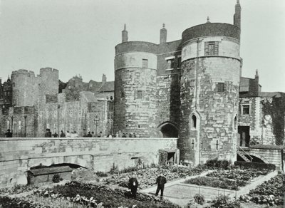 Tower of London, Tower Hill: beauchamp og Byward Towers, 1895 av English Photographer