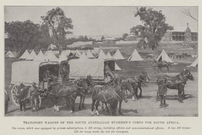 Transportvogner fra South Australian Bushmens Corps for Sør-Afrika av English Photographer