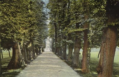 Trinity College, Avenue av English Photographer