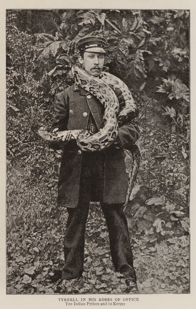 Tyrrell i sine Robes of Office av English Photographer