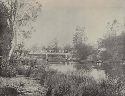 Undercliffe Bridge, Cooks River av English Photographer