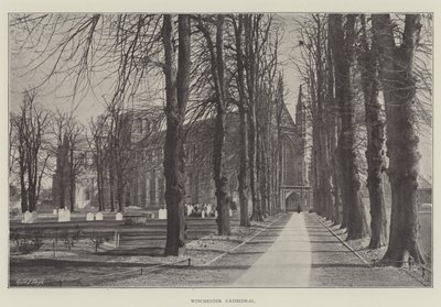 Winchester katedral av English Photographer