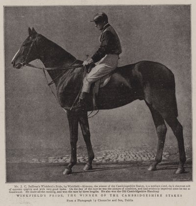 Winkfields Pride, vinneren av Cambridgeshire Stakes av English Photographer