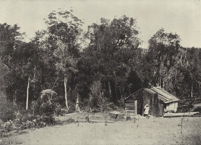 Woodcutter's Hut, Knysna (s/hvitt bilde) av English Photographer
