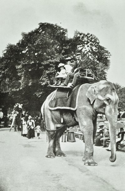 Zoological Gardens, Regents Park: elefantritt, London, ca. 1895 av English Photographer