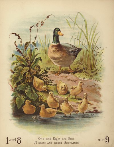 En and og åtte andunger (chromolitho) av English School
