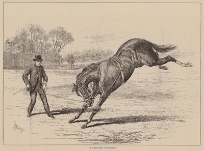 En sprø unggutt (gravering) av English School