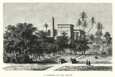 En hage i det gamle Egypt (gravering) av English School