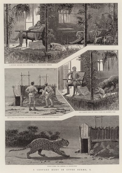 En leopardjakt i Øvre Burma, I (gravering) av English School