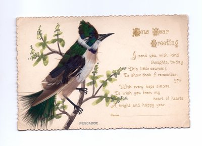 Et nyttårskort av en isfugl laget av fjær montert på et håndmalt tre, ca. 1900 av English School