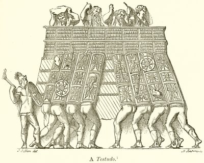 Til Testudo av English School