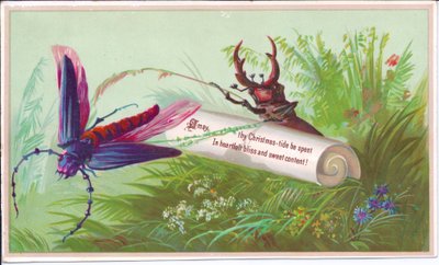 Et viktoriansk julekort av et insekt, hjortbille og rulle som er en julemelding, ca. 1880 av English School