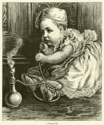 Ein junger Türke von English School