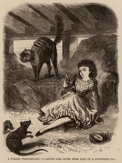 En kvinnelig Whittington, en liten jente reddet fra rotter av en favorittkatt (gravering) av English School