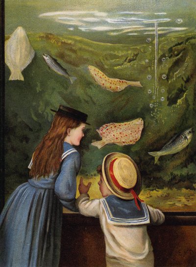 Ein Besuch im Aquarium von English School