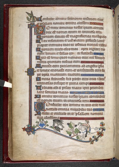 Legg til MS 24686, f.14v, Gutt på ponni med falkjaktende and, ca. 1284-1316 (vellum) av English School